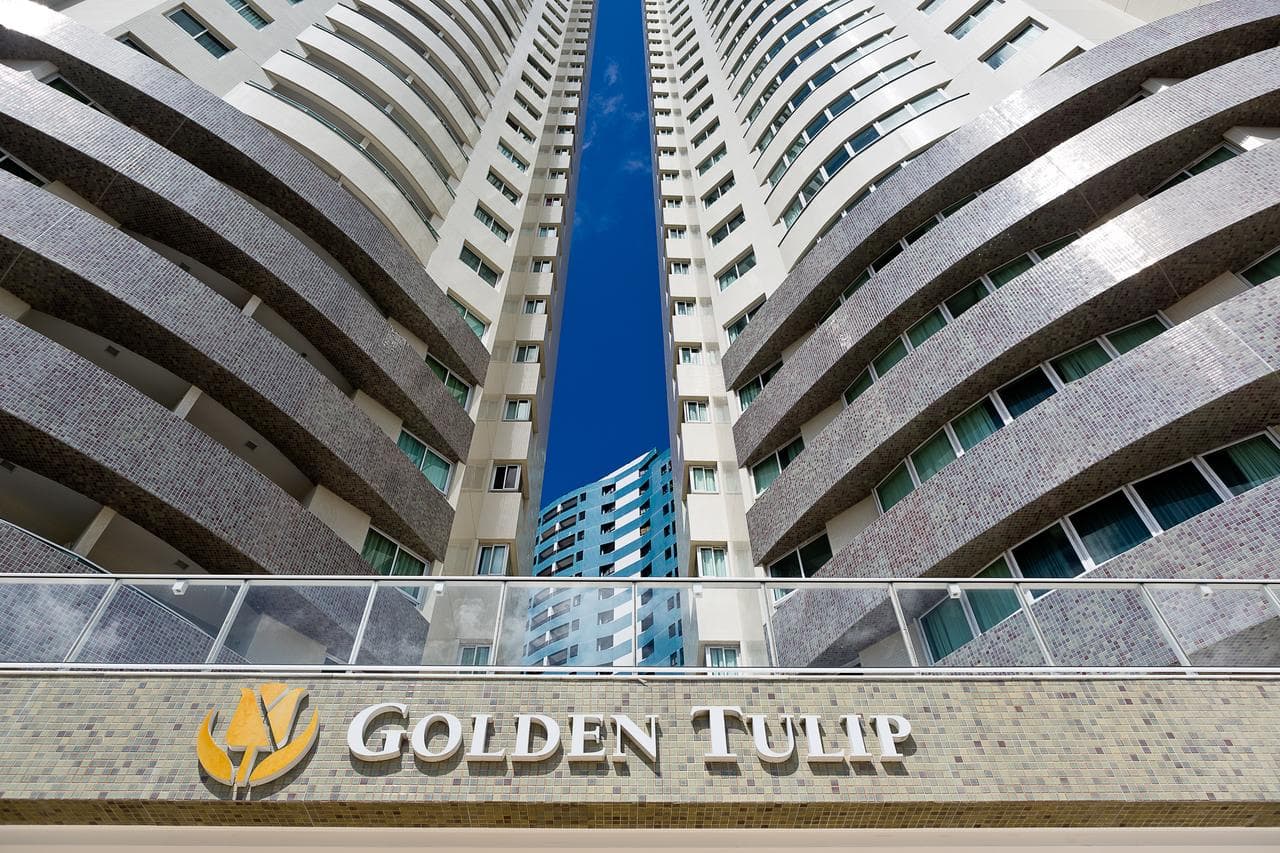 golden tulip