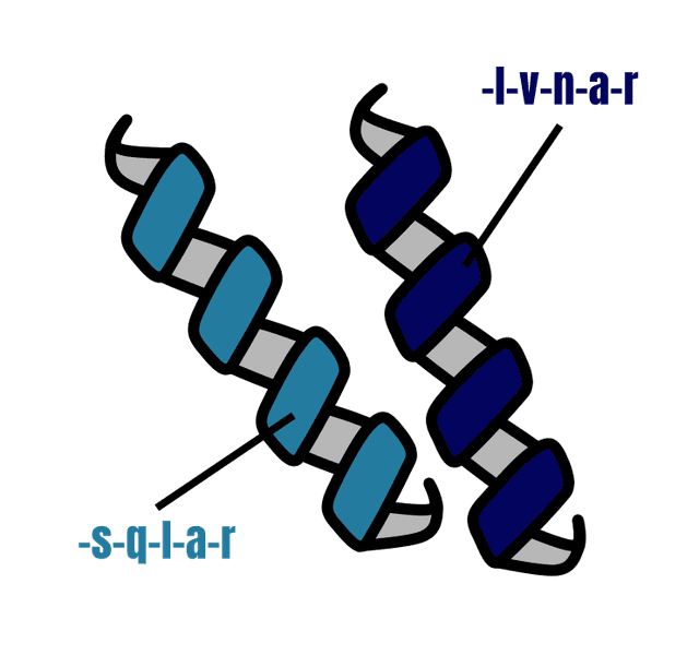 Bioinformática aplicada à análise proteômica