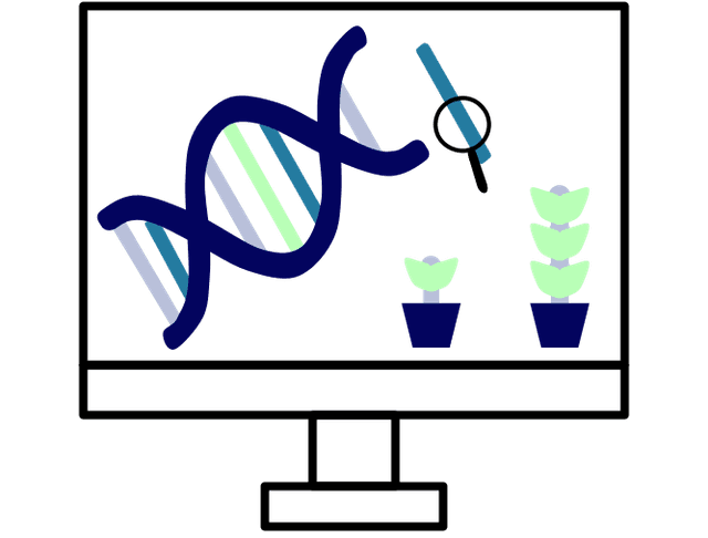 Análise de marcadores parentais e moleculares para aprimoramento genético