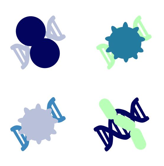 Análise Metagenômica