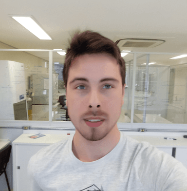 Gustavo Lovatto Michaelsen